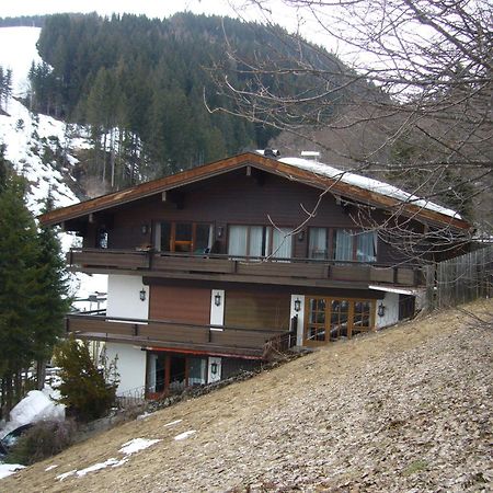 Appartement Bernkogel ซาลบาคฮินเทอร์เกลมม์ ภายนอก รูปภาพ