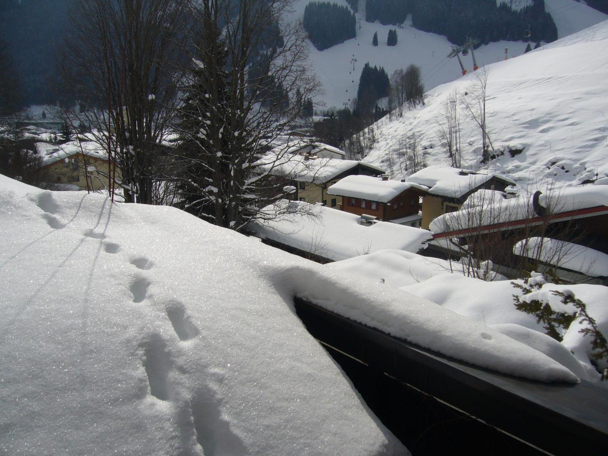 Appartement Bernkogel ซาลบาคฮินเทอร์เกลมม์ ภายนอก รูปภาพ